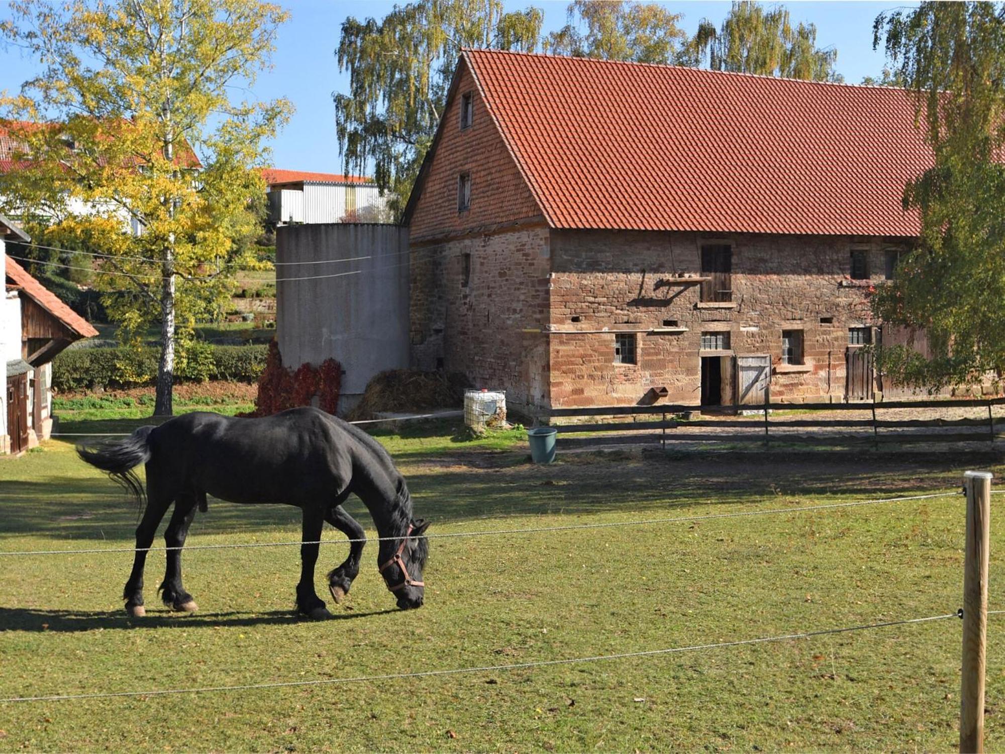 Spacious Holiday Home In Hesse With Garden Waldeck  Bagian luar foto
